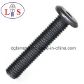 Flat Head Hexagonal Socket Bolt with Point